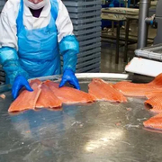 Шоковая заморозка, низькотемпературні камери для переробки риби 